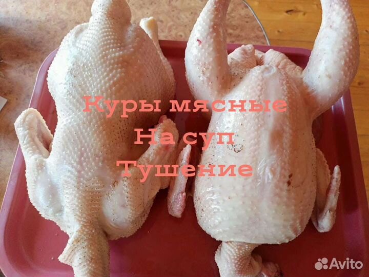 Мясо домашнего бройлера, мулард, гуся, курицы,утки