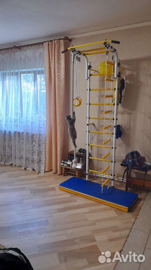 Котенок в добрые руки бесплатно