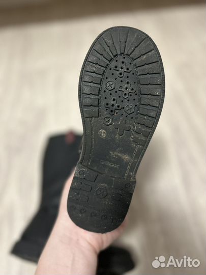 Сапоги geox 31