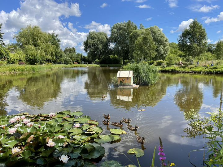 Участок 10,6 сот. (ИЖС)