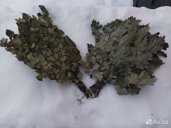 Веники дуб и берёза,любое в наличии
