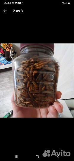 Смесь насекомых