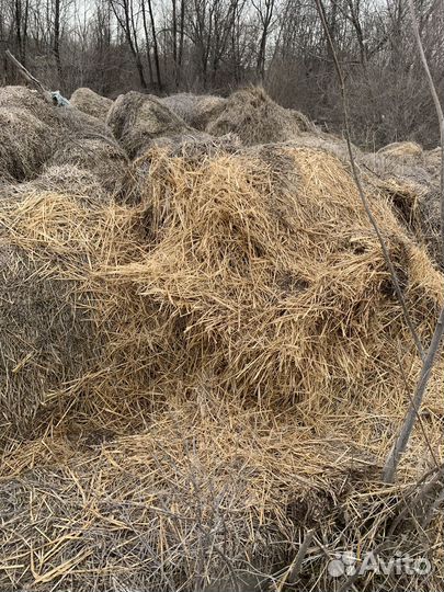 Солома в рулонах