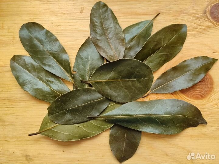 Лавровый лист