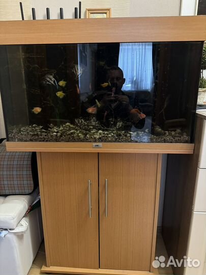 Аквариум с тумбой juwel