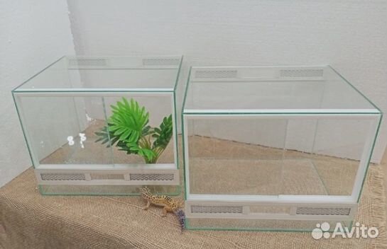 Террариум паучатник