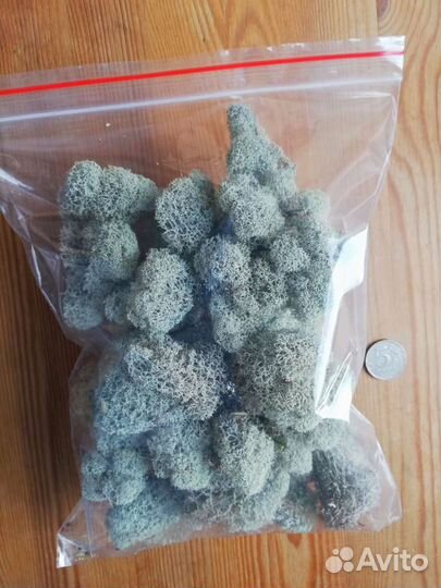 Живой мох, Кора пробкового дуба