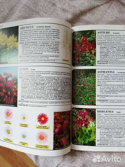 Книги для дачника