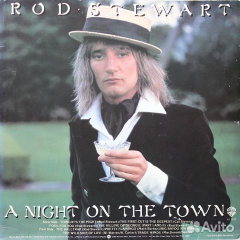 Rod Stewart / A Night On The Town (LP)
