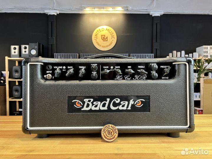 Bad Cat Hot Cat 30 Reverb Head в Наличии