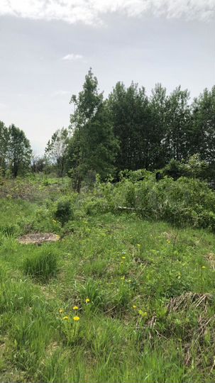 Участок 12 сот. (СНТ, ДНП)