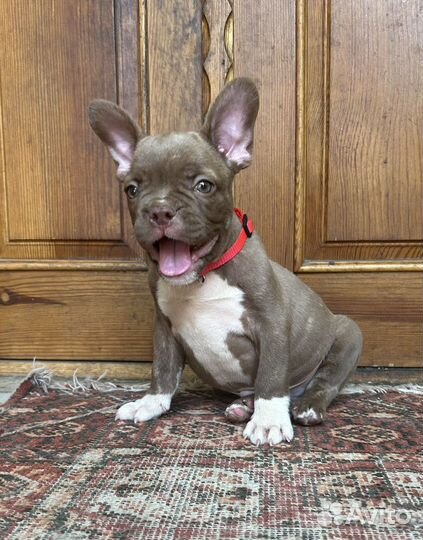 Я жду именно Вас