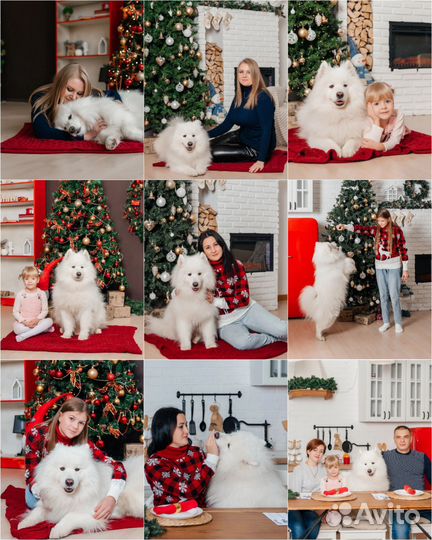 Фотосессия