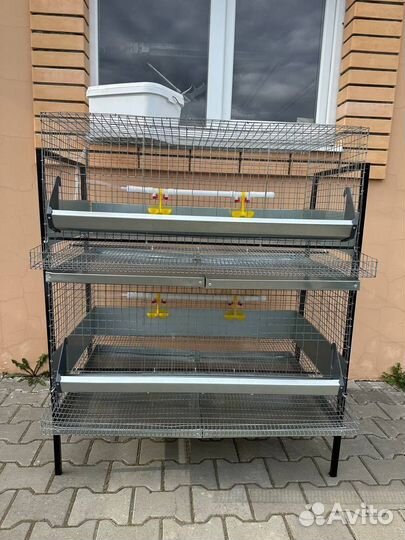 Клетка для 20 кур несушек