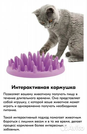 Интерактивная кормушка + лоток и поильник