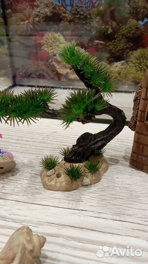 Аквариум для рыбок