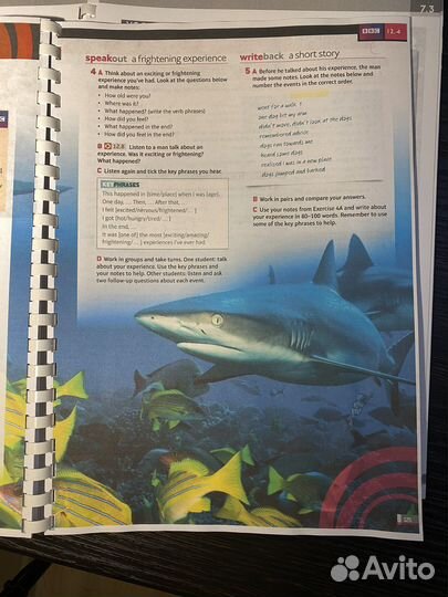 Speak out все уровни