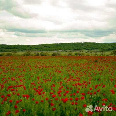 1.окт.23 Тур в Дагестан /рэ3004