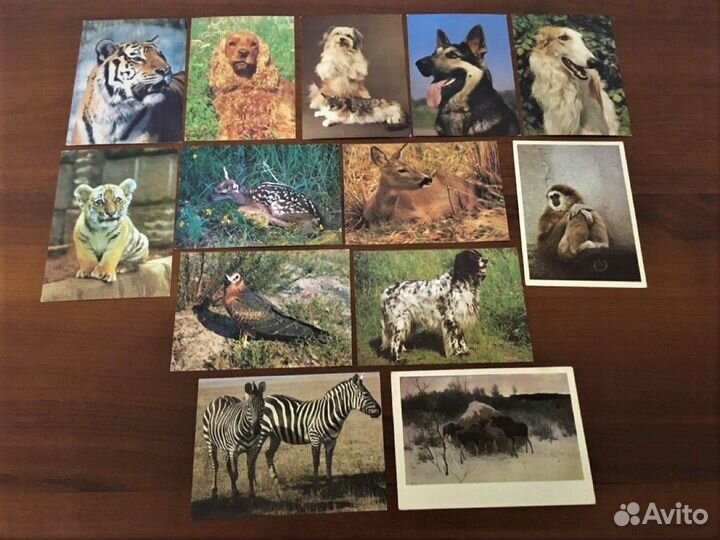 Открытки СССР, гдр (дети, животный мир)