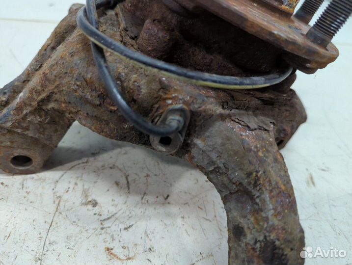 Ступица (кулак, цапфа) правая передняя Nissan X-Trail (T31), 2011