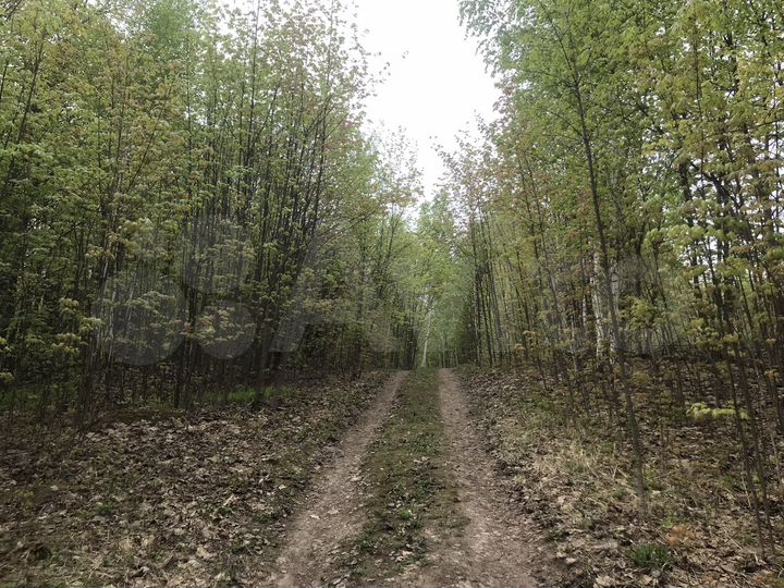 Участок 13 сот. (ИЖС)