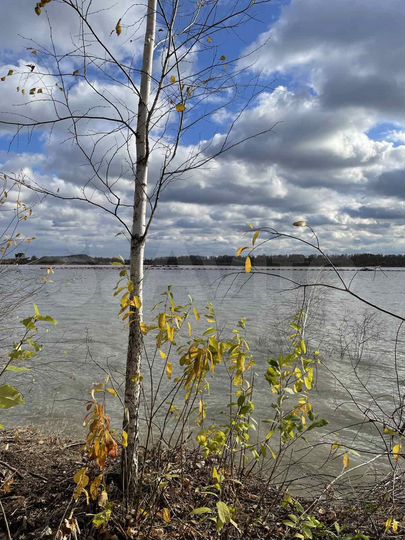 Участок 19 сот. (СНТ, ДНП)