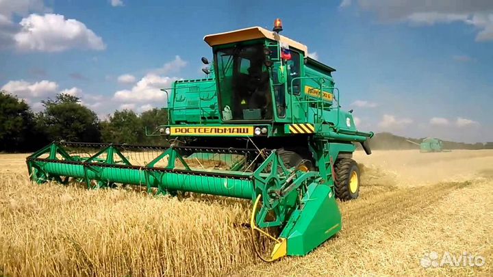 Уборка урожая 2024