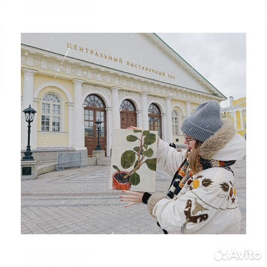 Цветок в красном горшке