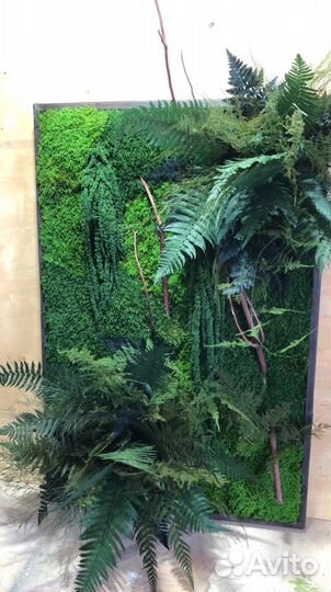 Картины из мха и растений