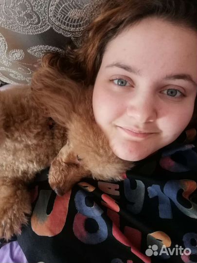 Кинолог/догситтер/выгульщик/ноузворк