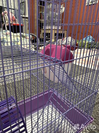 Клетка для грызуна