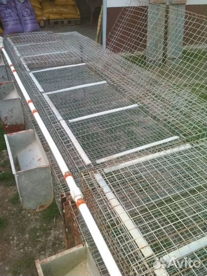 Клетки для кроликов