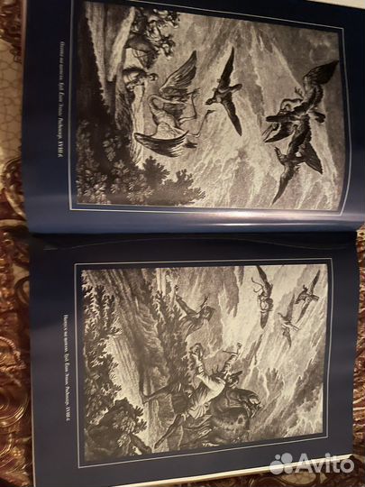 Соколиная охота