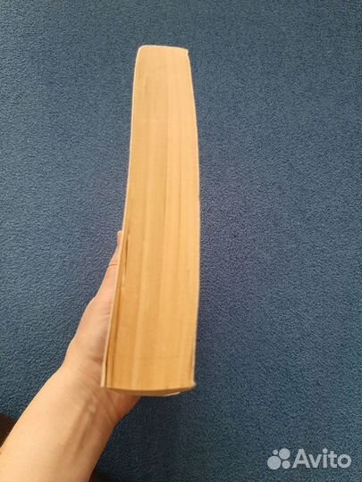 П.А.Вяземский. Стихотворения. Воспоминания