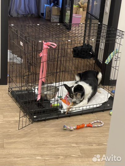 Большая Клетка для собаки