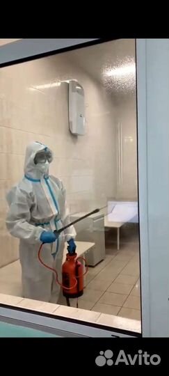 Дезинсекция / дезинфекция / озонация / запахи