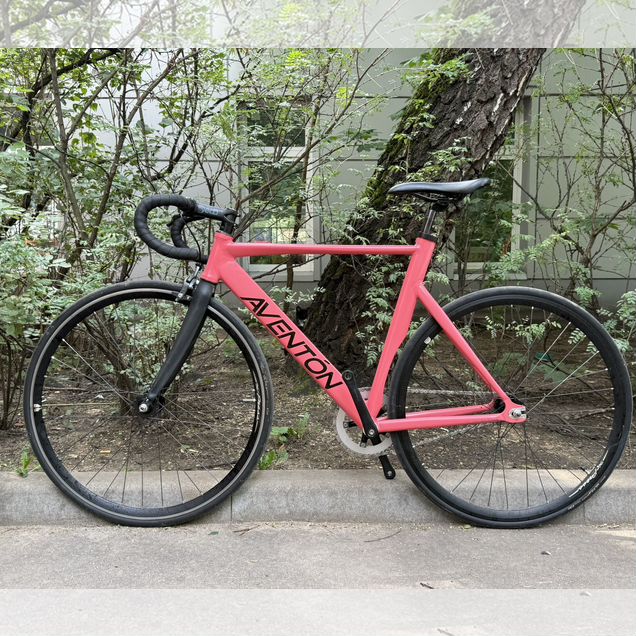 Синглспид Aventon Mataro M