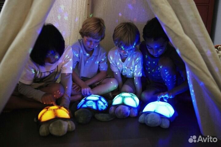 Ночник черепаха