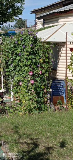 Дом 68 м² на участке 6 сот.