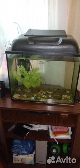 Аквариум 30л