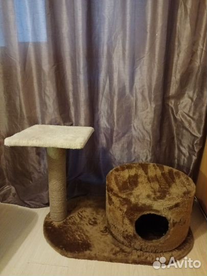 Когтеточка домик для большой кошки