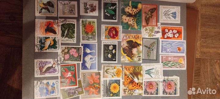 Коллекция почтовых марок в трех альбомах