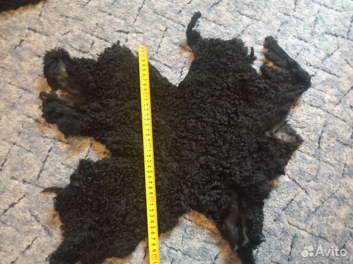 Шкурки каракуля