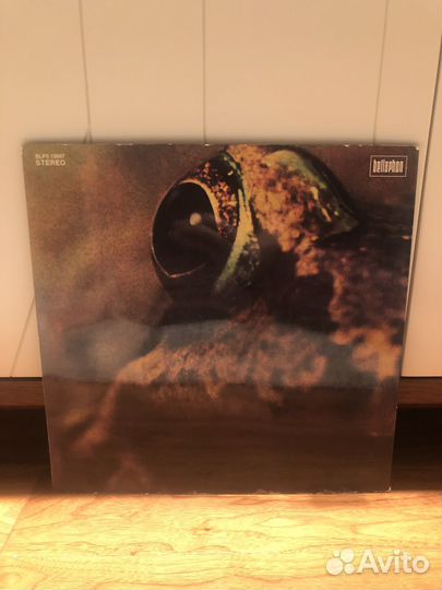 Toad – Toad, 1st pressing, NM, Mega Rare