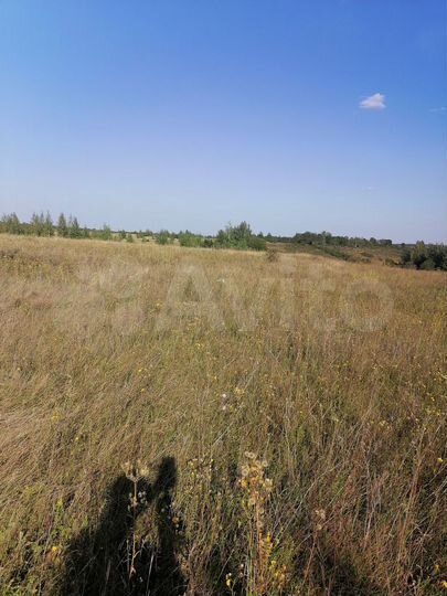 Участок 25 сот. (ИЖС)