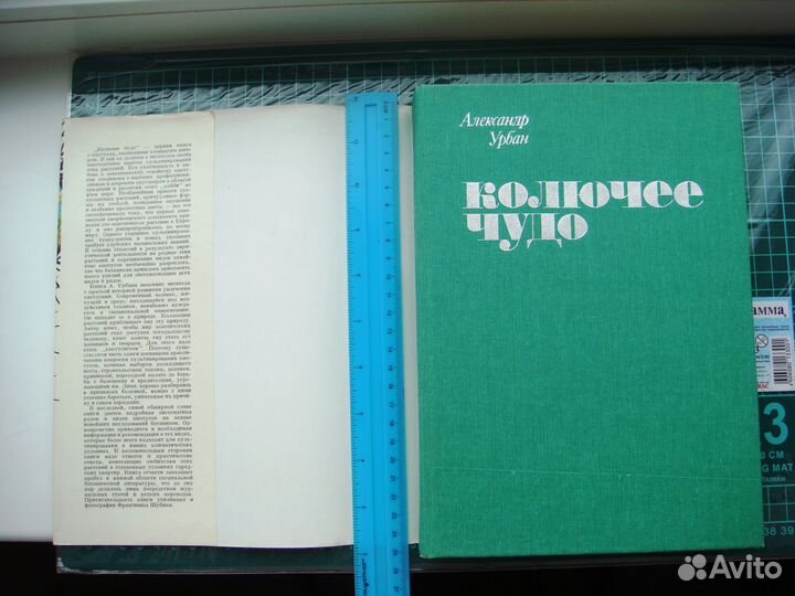 Колючее чудо