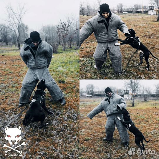 Дрессировка собак. Кинолог