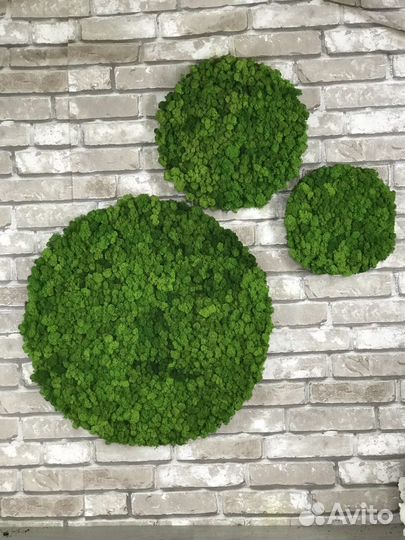 Панно круг 30 см из стабилизированного мха