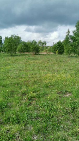 Участок 15 сот. (ИЖС)