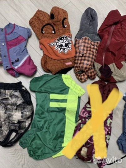 Комбинезон/дождевик/ошейник/повод.для собак/кошек